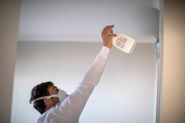 Best Office Mold Removal Services  in Woxall, PA
